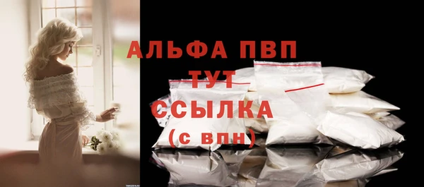 сатива Арсеньев